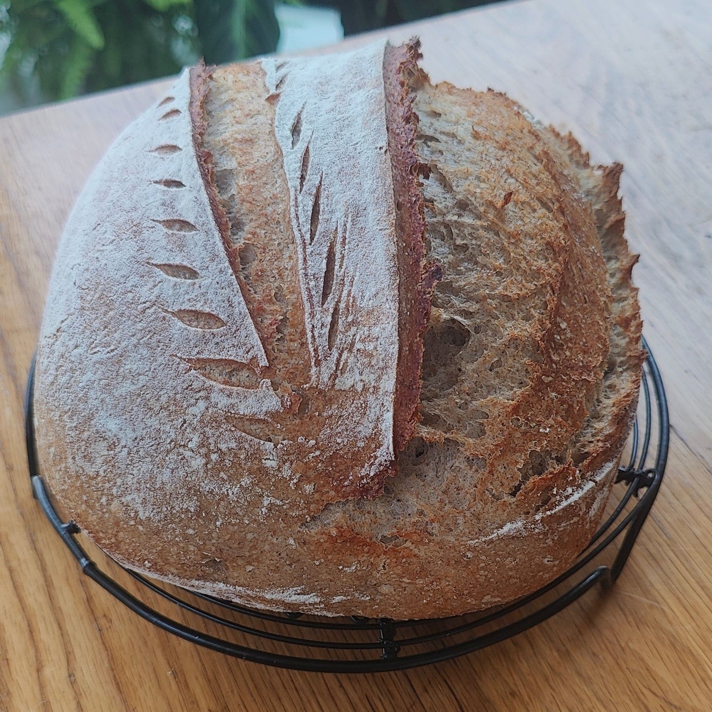 70/30 Rye Sourdough