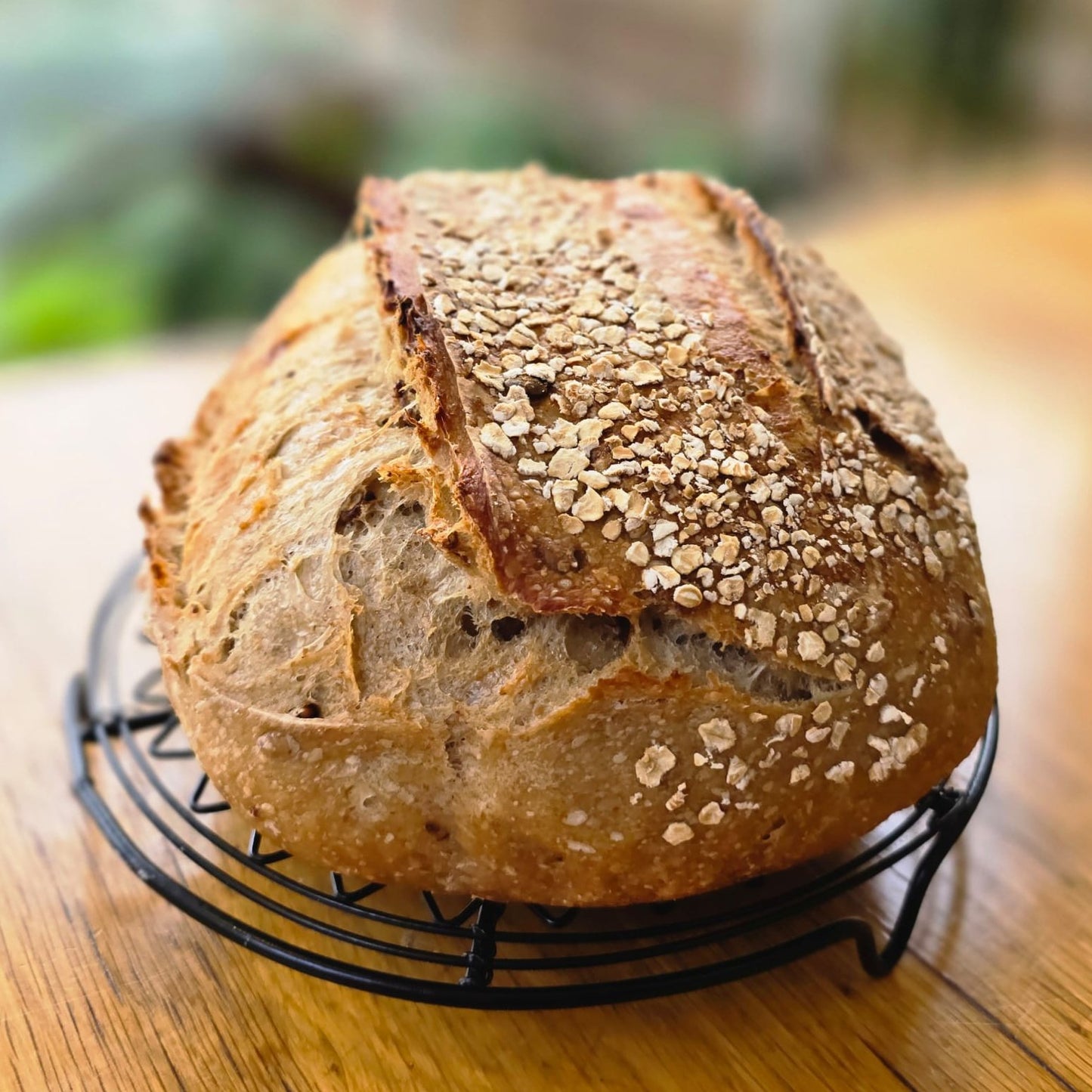 Malted Grain Sourdough